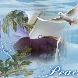 Meet your Posher, Bessie